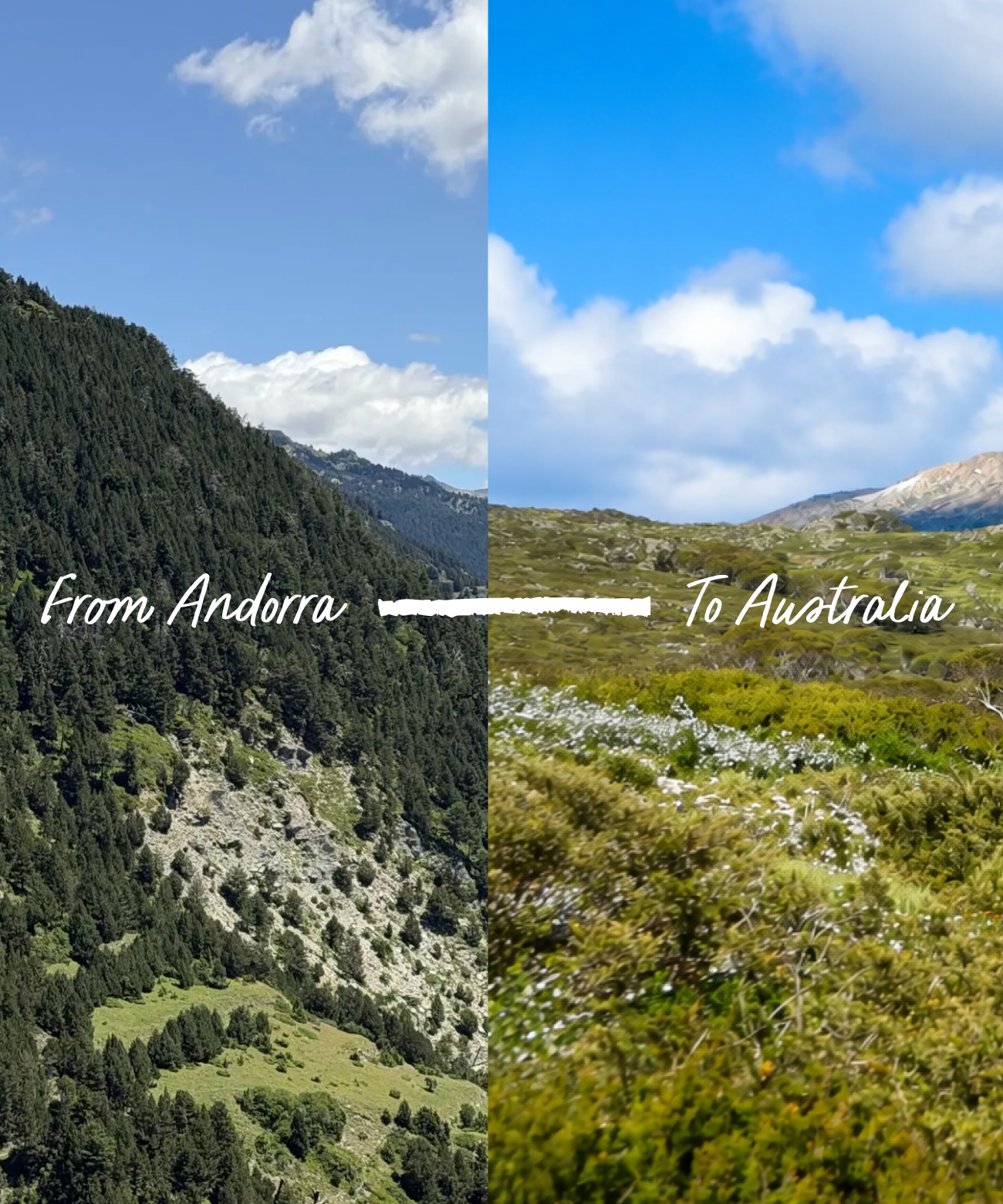 What does a landscape taste like?
